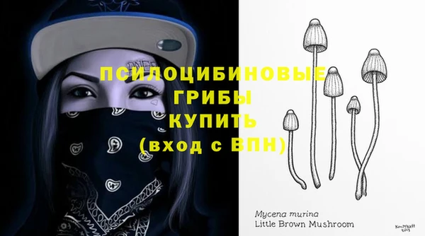 дмт Нефтегорск