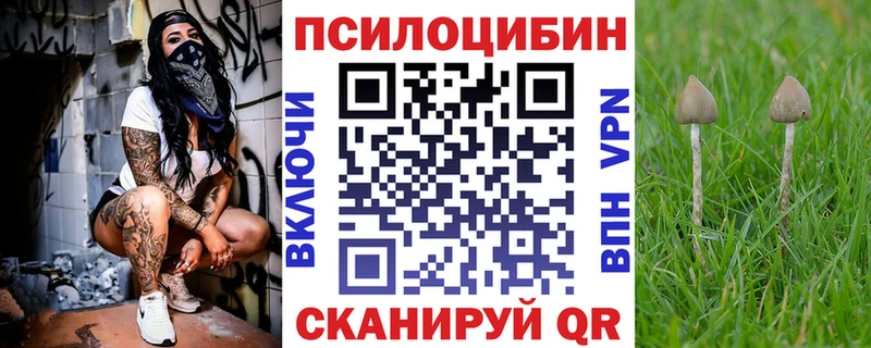Галлюциногенные грибы мухоморы  Чекалин 
